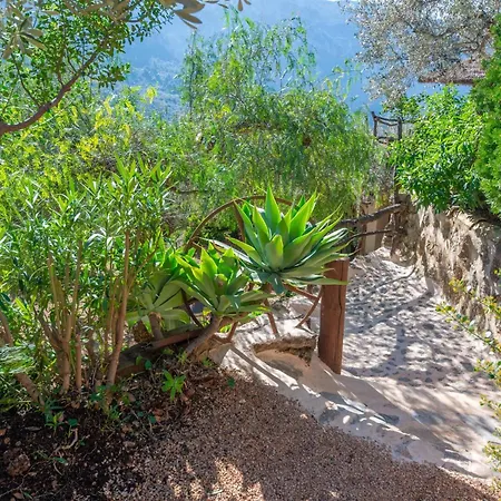 Villa Ses Begudes